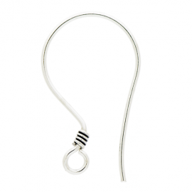 Silver Ear Wires EW4001