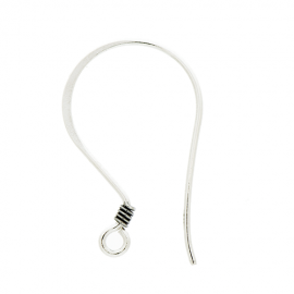 Silver Ear Wires EW4002F