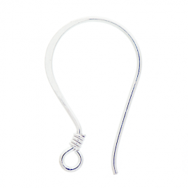 Silver Ear Wires EW4002F-B
